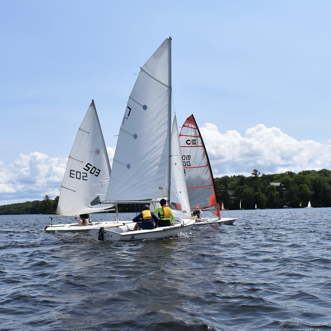 This is a photo of three sailboats: Two lasers and o Byte CII. Each boat has a skipper sailing and it's a sunny day on the water